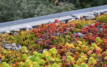 the cost of Mile Elm green roof installation