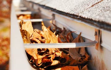 Mile Elm gutter cleaning companies