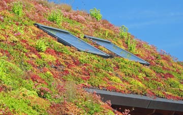 Mile Elm living roof systems