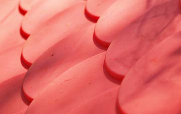 Mile Elm plastic roof costs