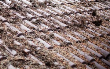 Mile Elm roof cleaning companies