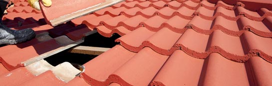 compare Mile Elm roof repair quotes