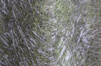 Mile Elm fibreglass roof work