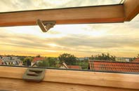 rated Mile Elm roof window companies