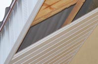 rated Mile Elm soffit repair companies